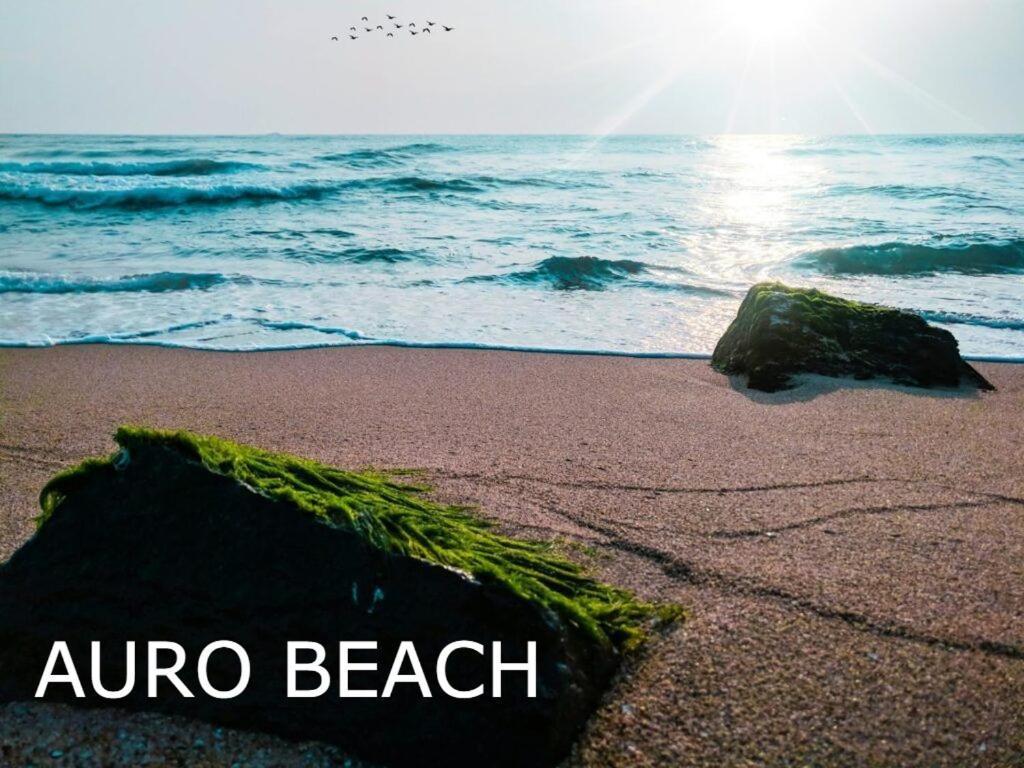 Pv Cottages Serenity Beach Puducherry Buitenkant foto